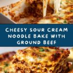 Sour Cream Noodle Bake Recipe